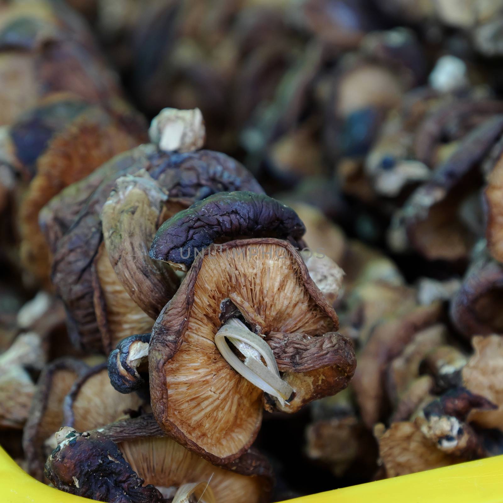Dired mushroom at farmer market by xuanhuongho