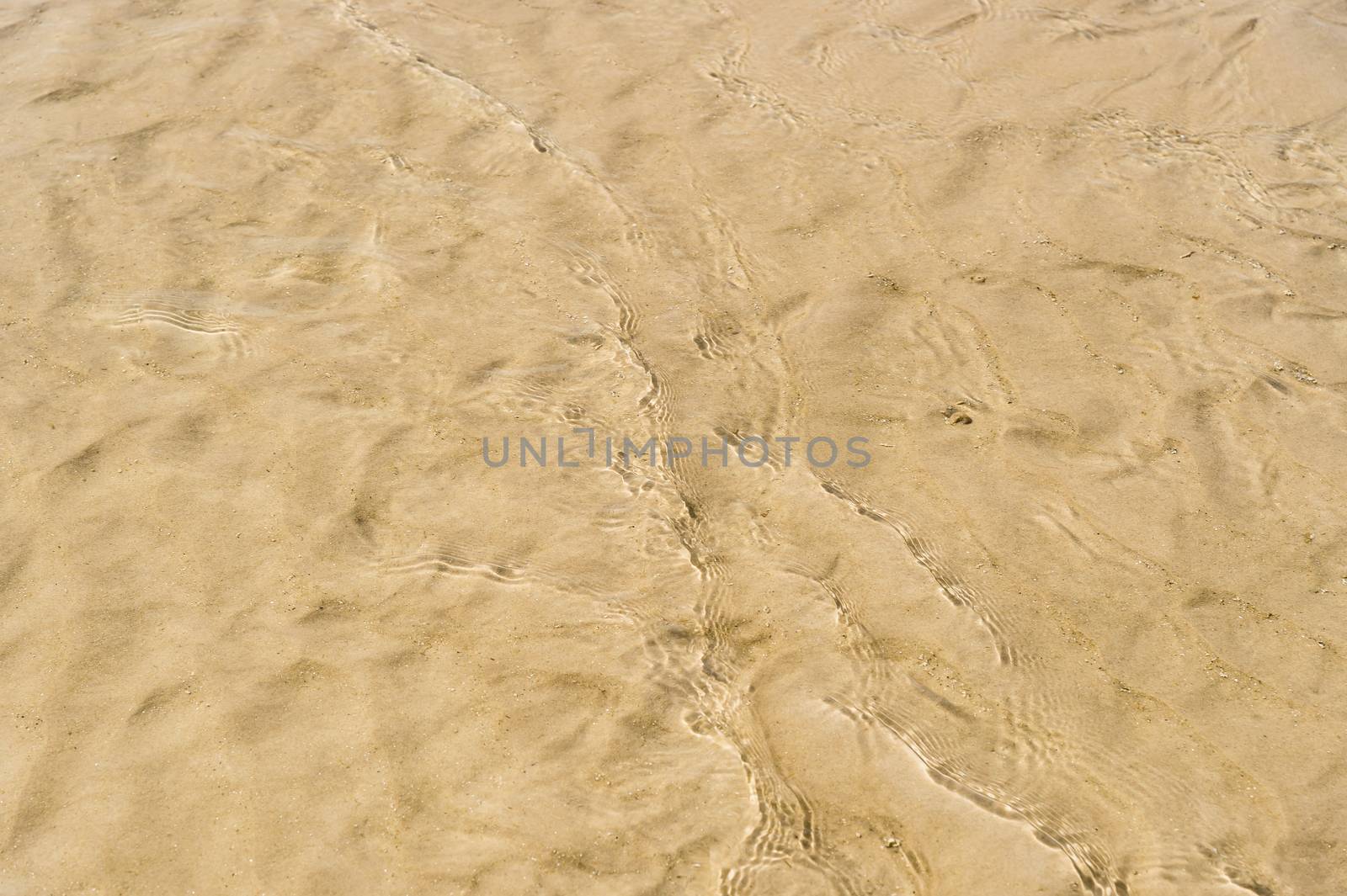 transparent water ripple wave track on beach by luckyfim