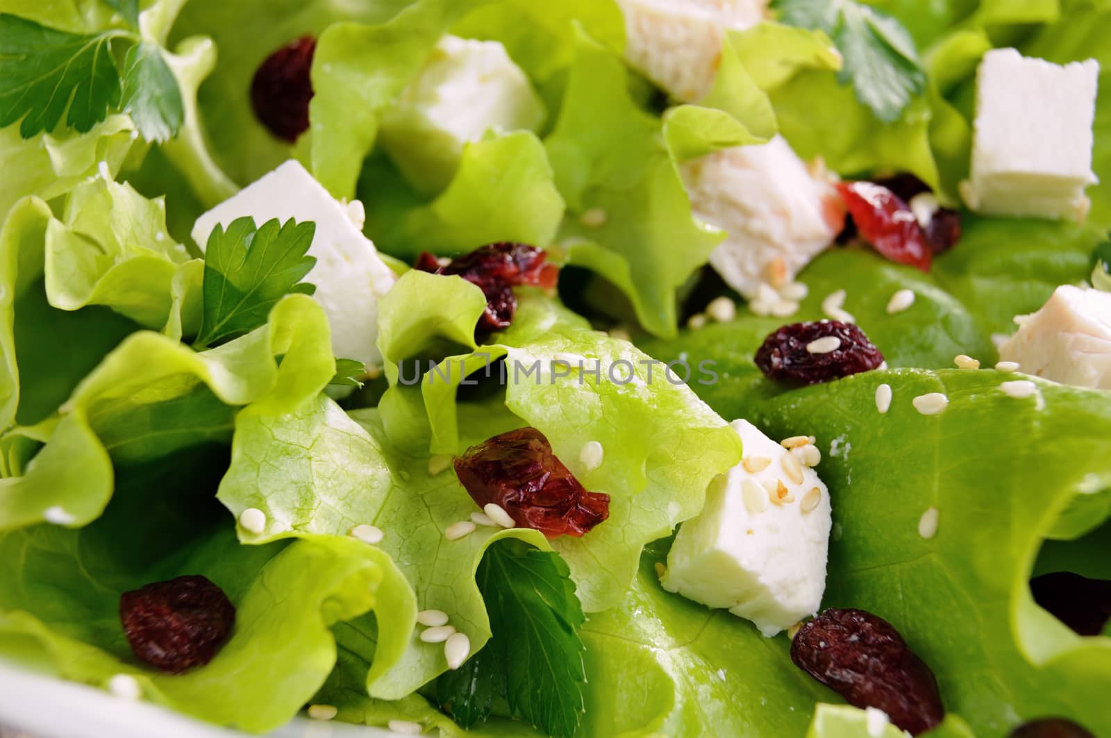 Salad of lettuce with dried cranberries, feta, sesame and chicken breast