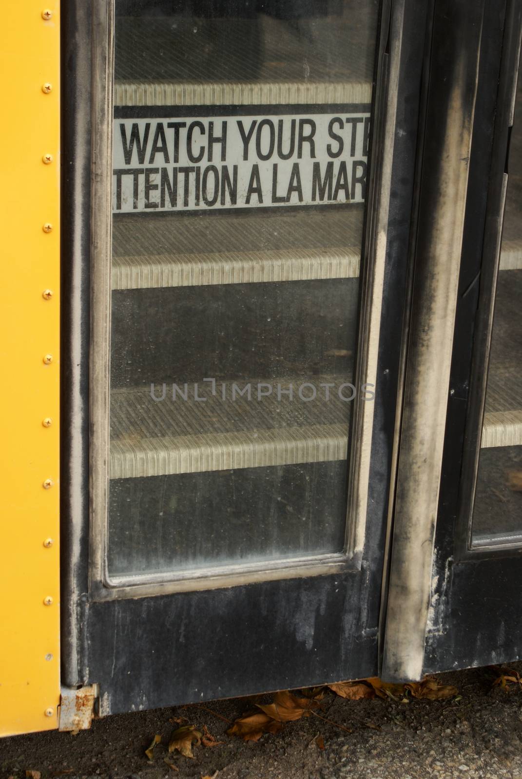 School Bus Doors by AlphaBaby