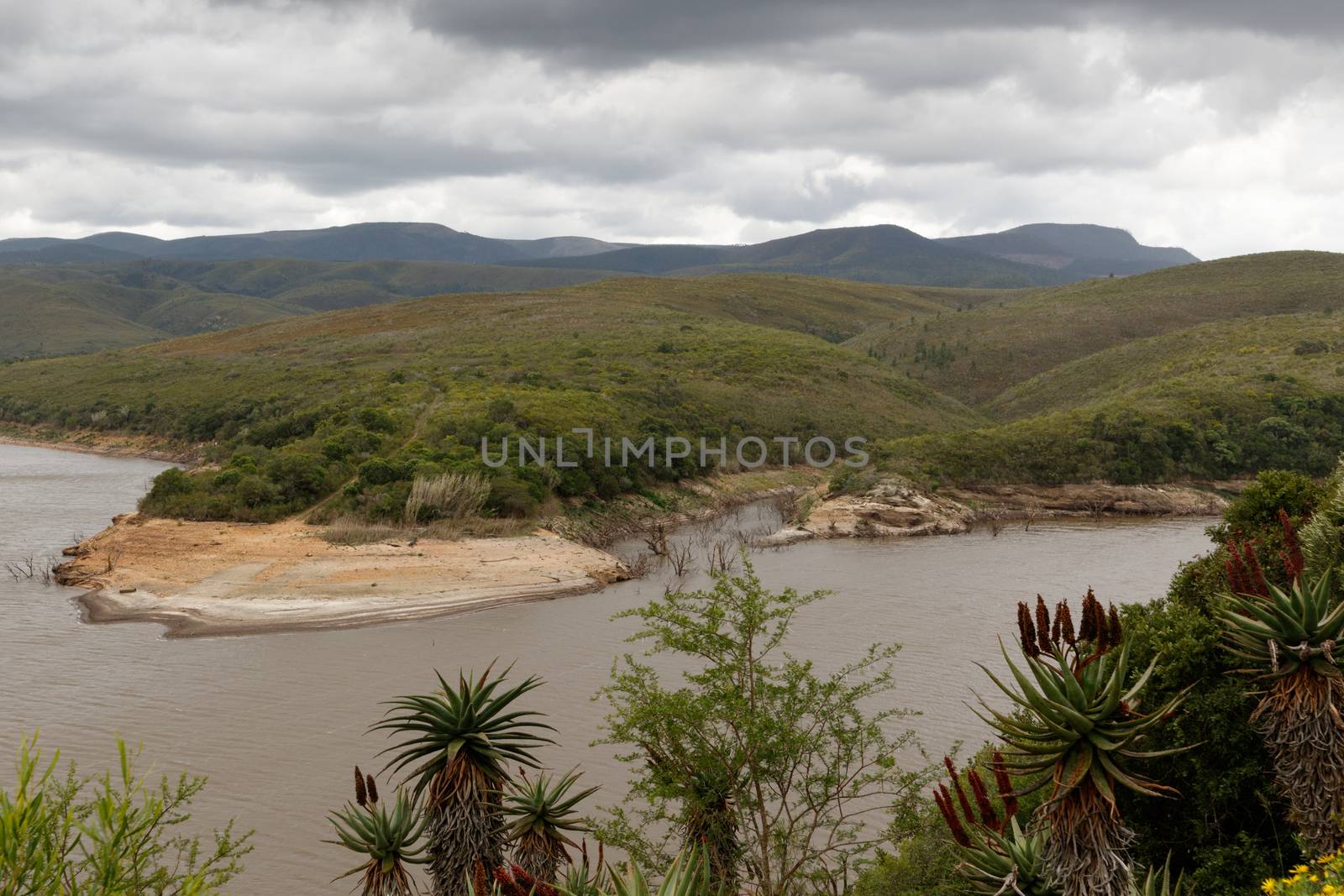 Succulent plants in the foreground at the dam on a cloudy day.