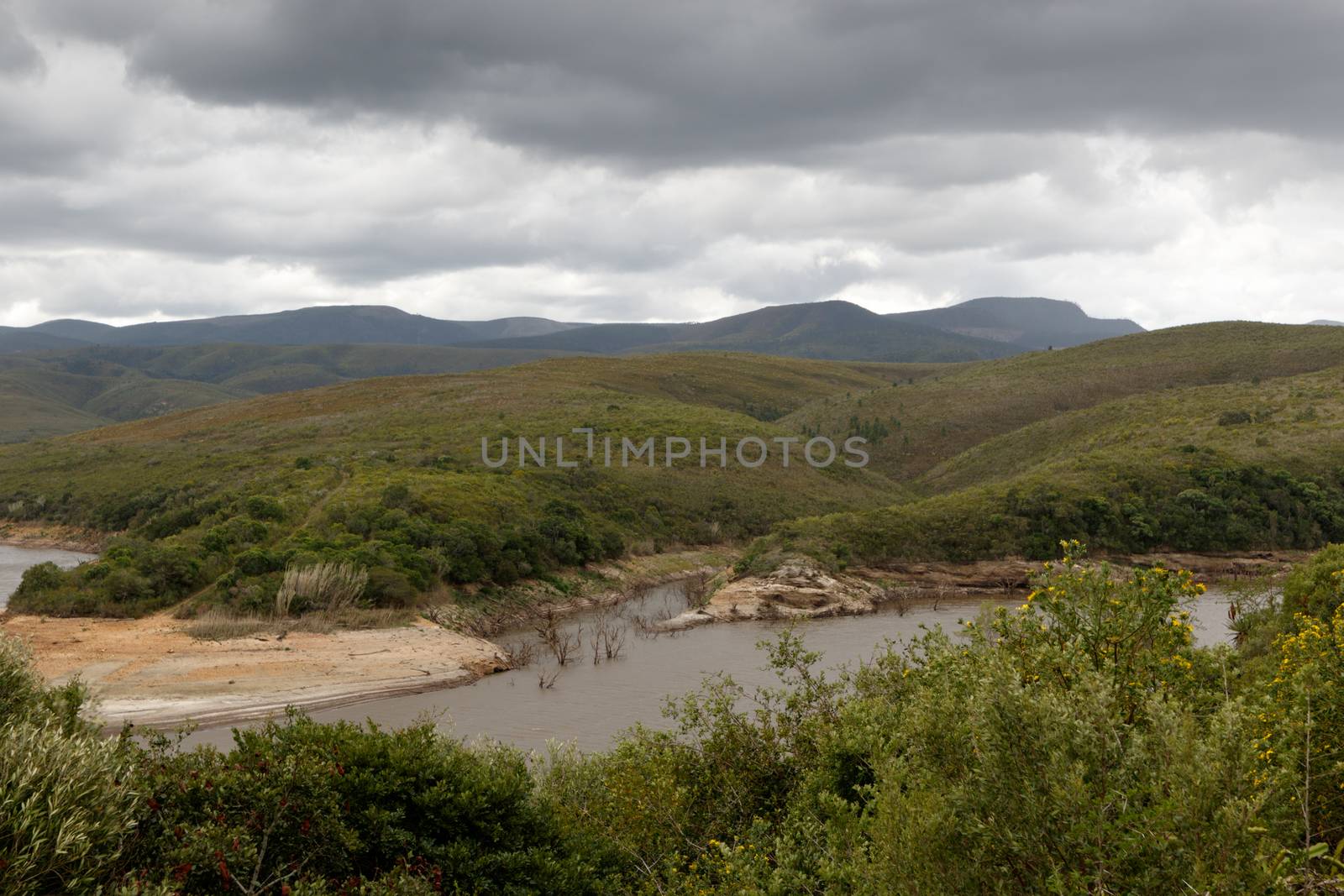 The view of the dam through the bushes on a cloudy day.