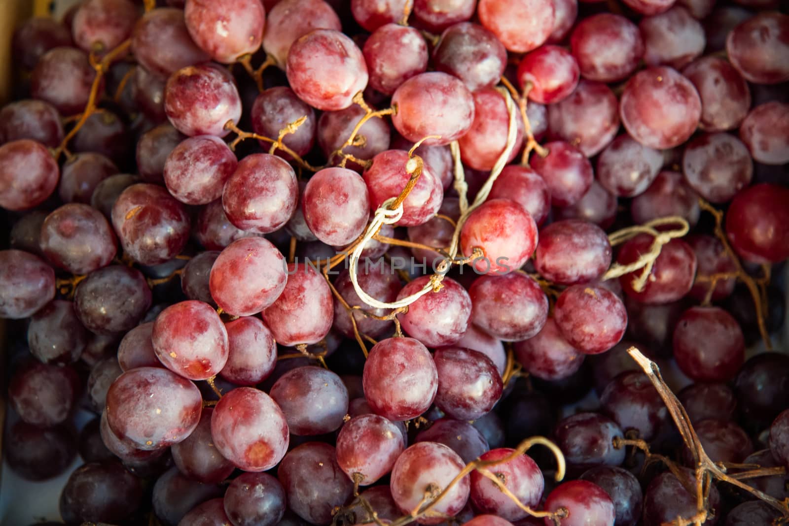 Red grapes background, dark grapes . by LarisaP