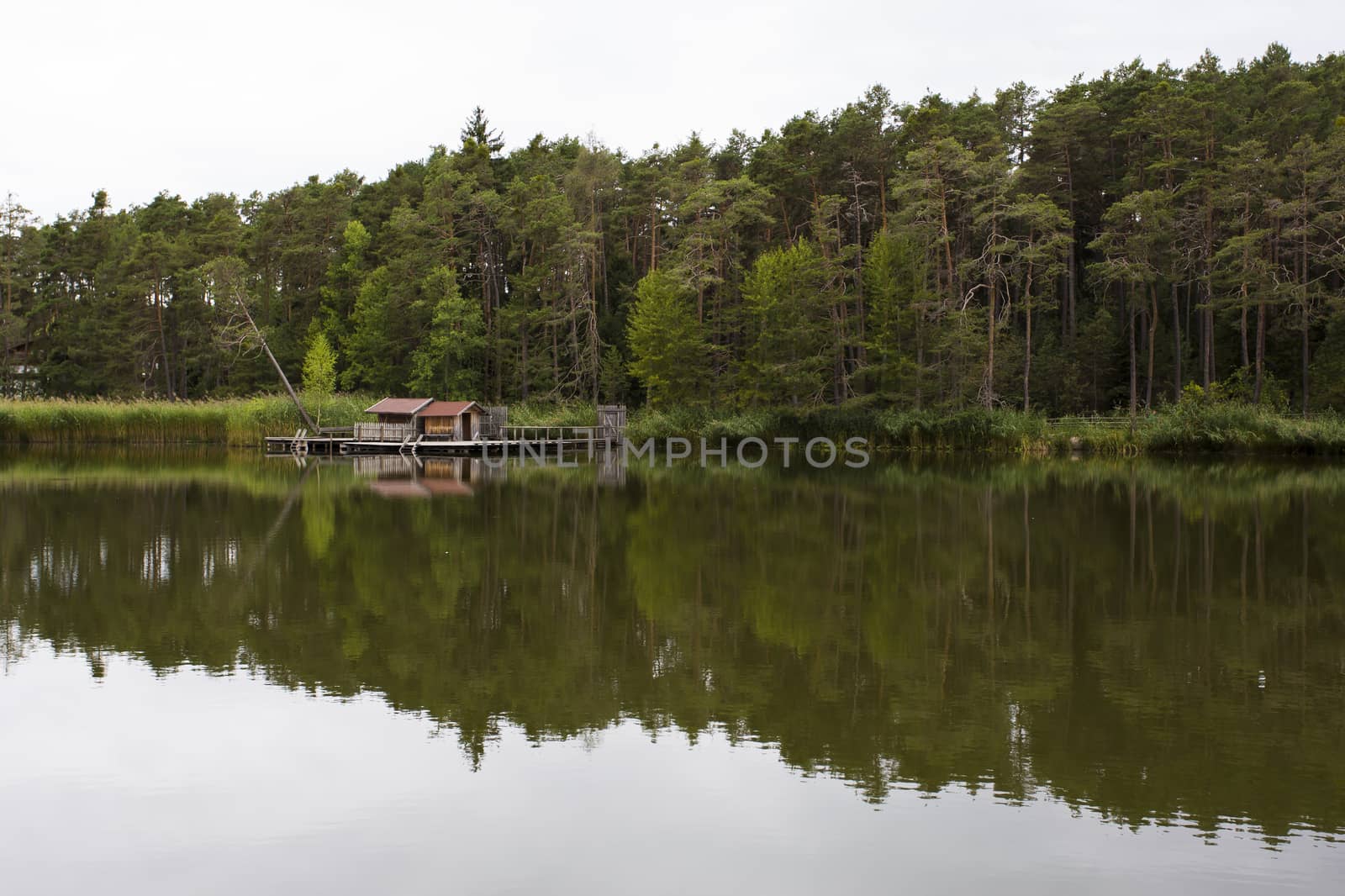 View of reflections on the Fie' lake