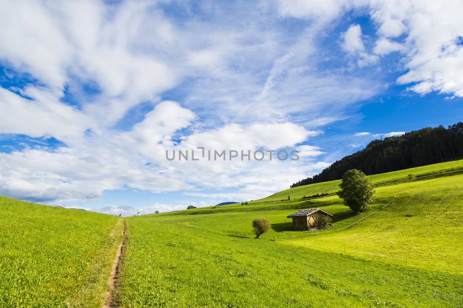 Panoramic view of green fields, blue sky with clouds in Seiser Alm