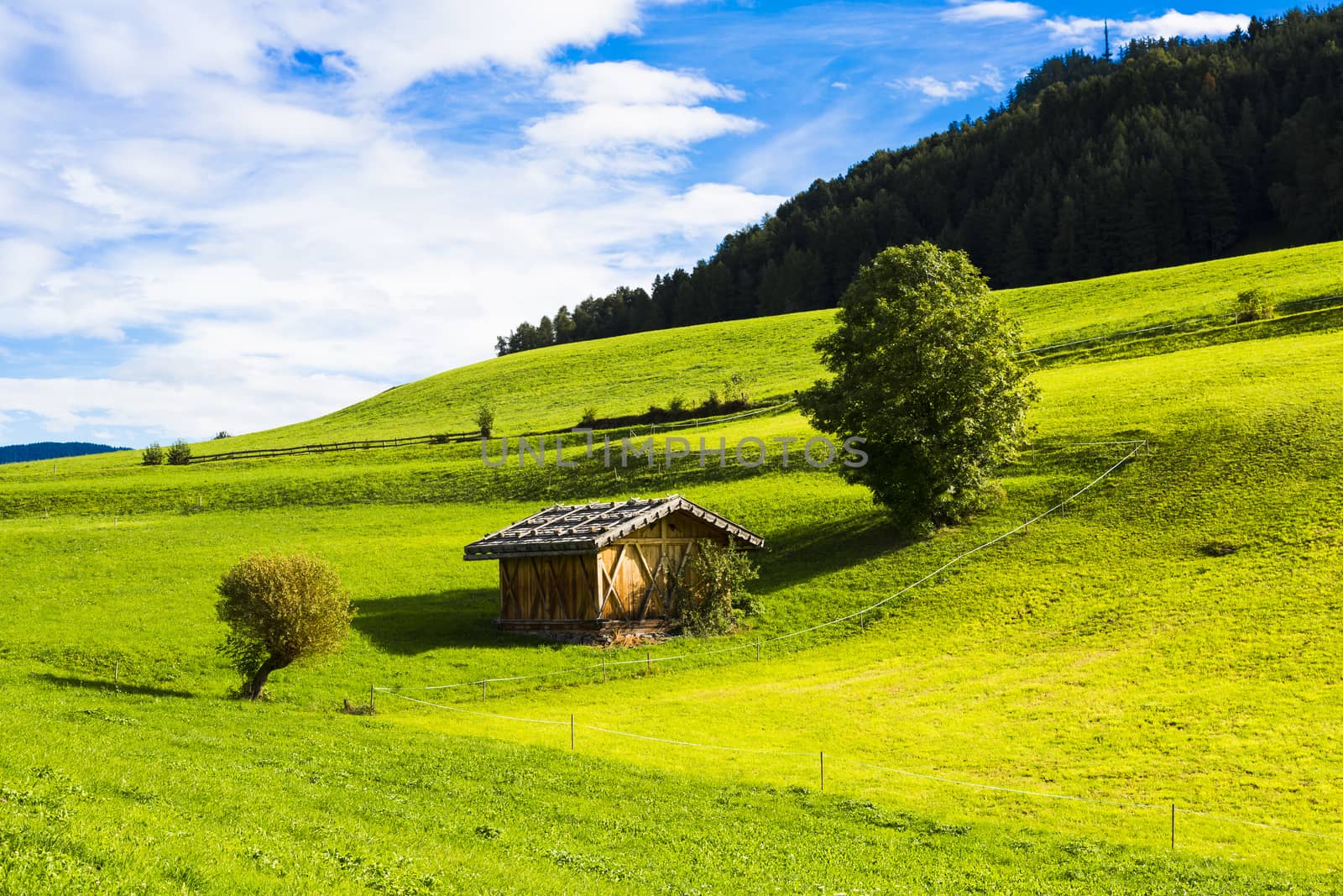 View of an alpine warehouse in a green meadow in Seiser Alm