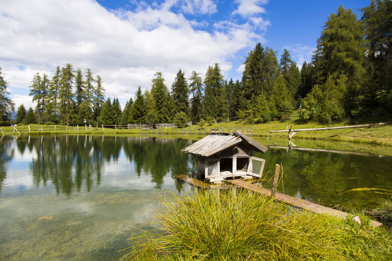 View a small house for ducks in the small lake of Marinzen Alm