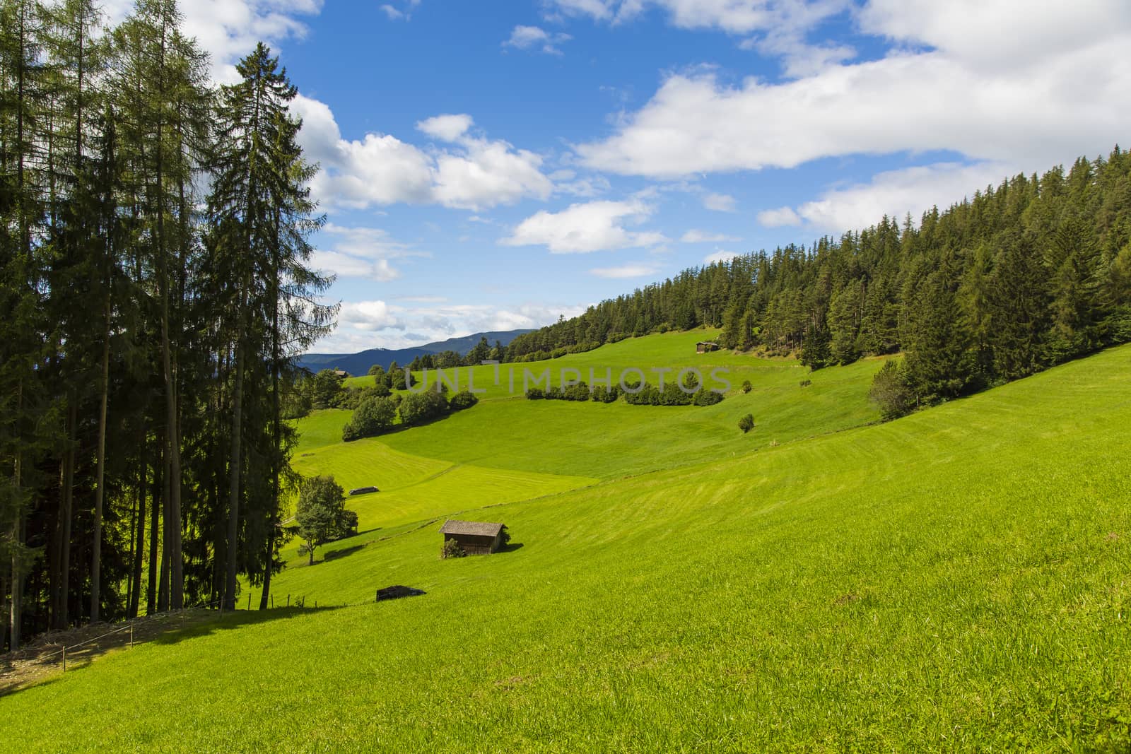 View a portion of the valley in Seiser Alm with green fields and blue sky
