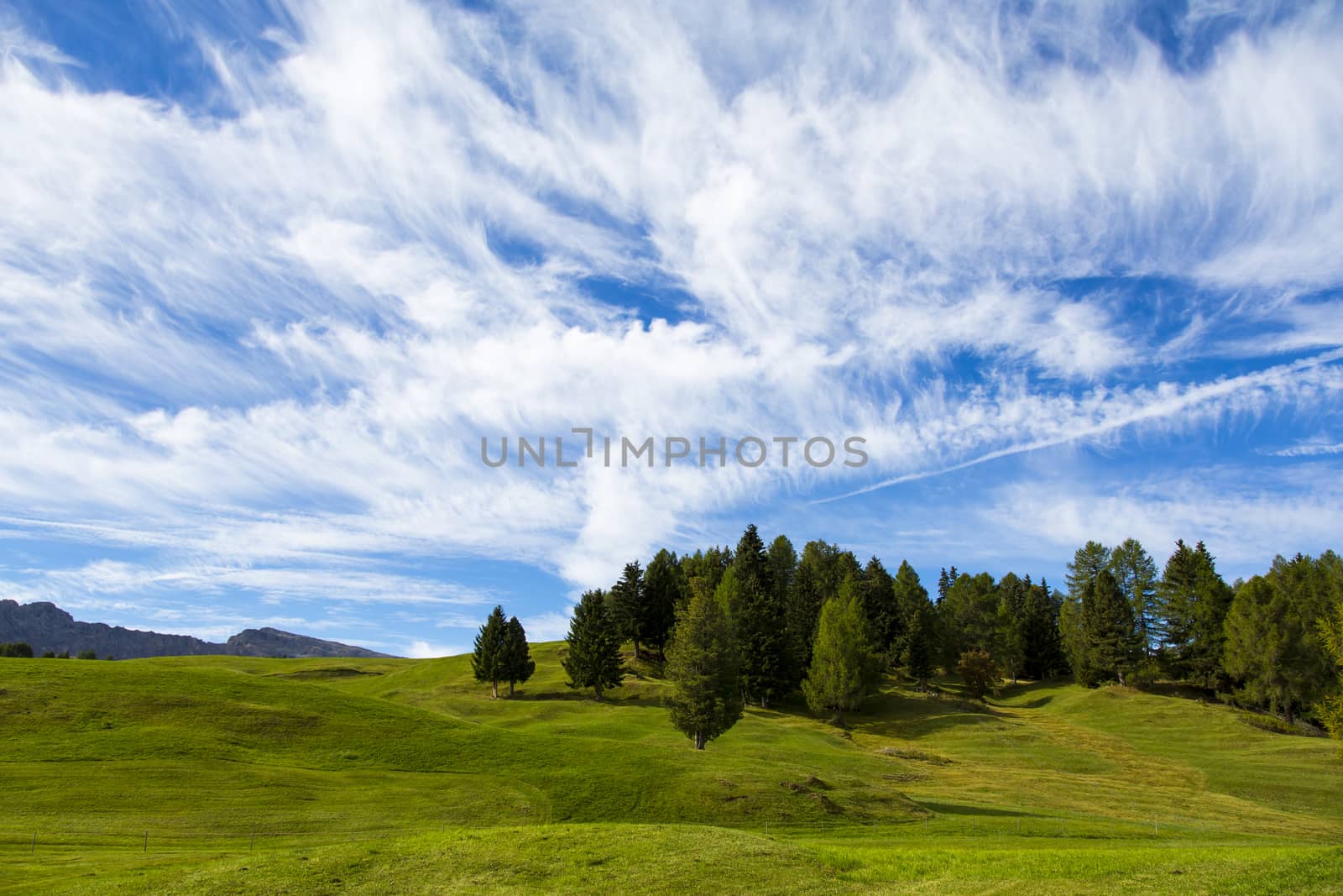 panoramic view of the Seiser Alm in a sunny day with blue sky and clouds