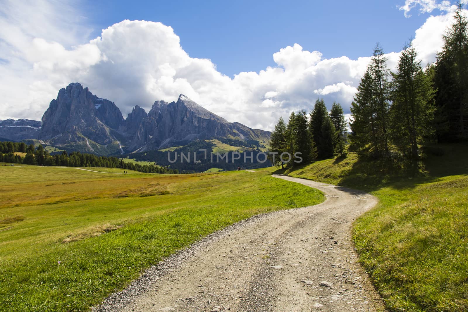 View a path with mountain range in the background