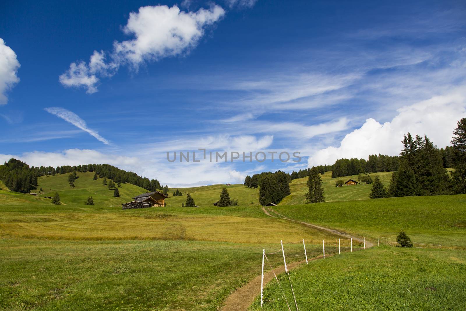 panoramic view of the Seiser Alm in a sunny day with blue sky and clouds with path in the foreground