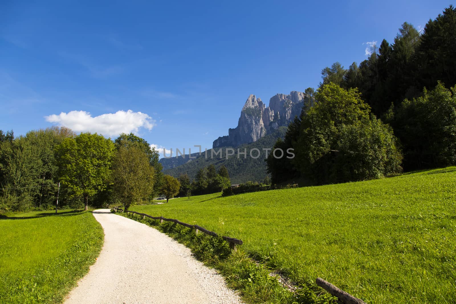 View of a passable trail walk with green fields and mountain range in the background and bllue sky