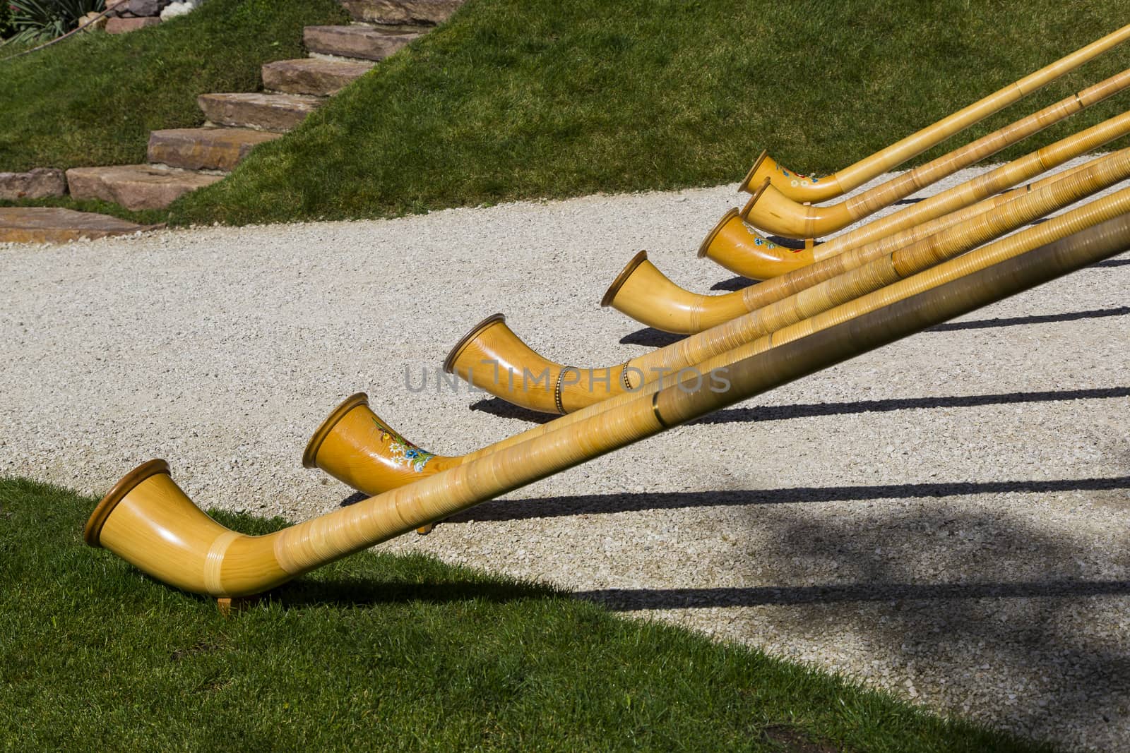 Top view of Alpine horns on green grass