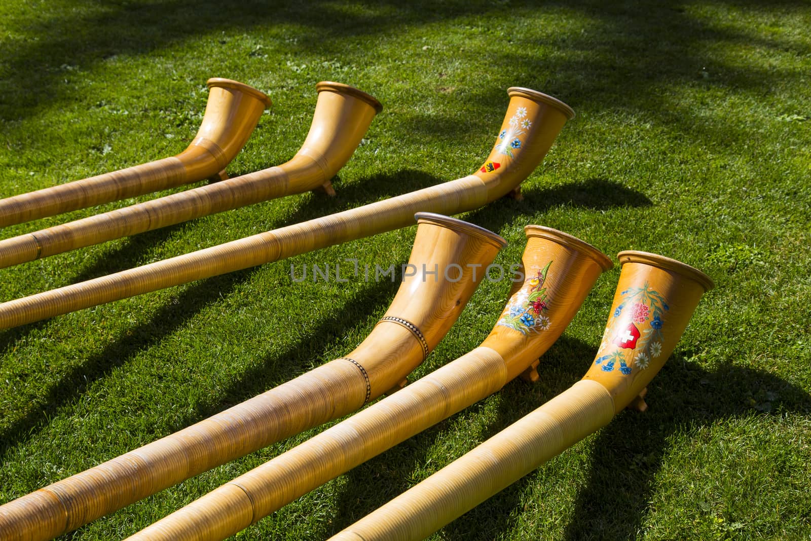 Top view of Alpine horns on green grass