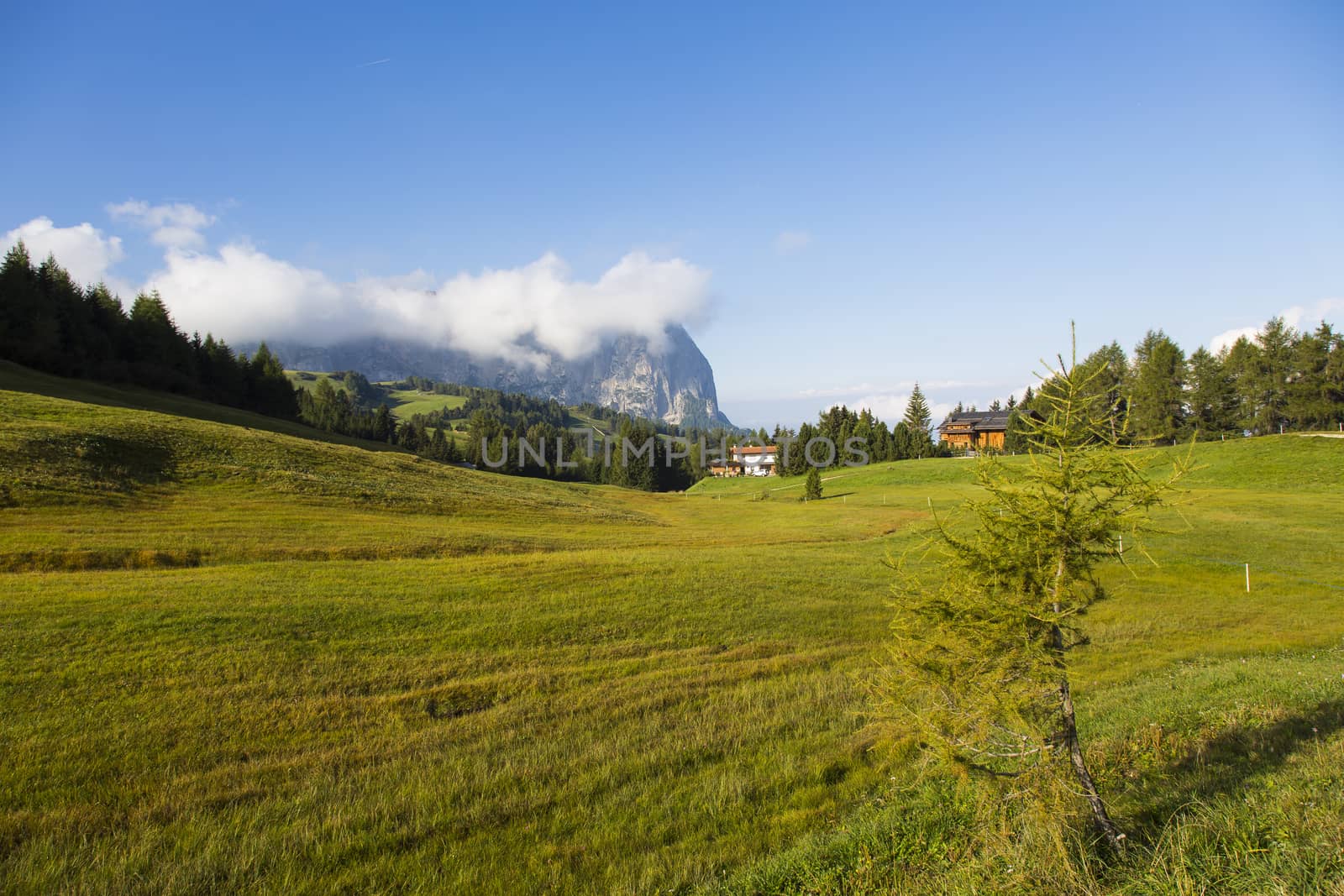View of an expanse of grass in Seiser Alm