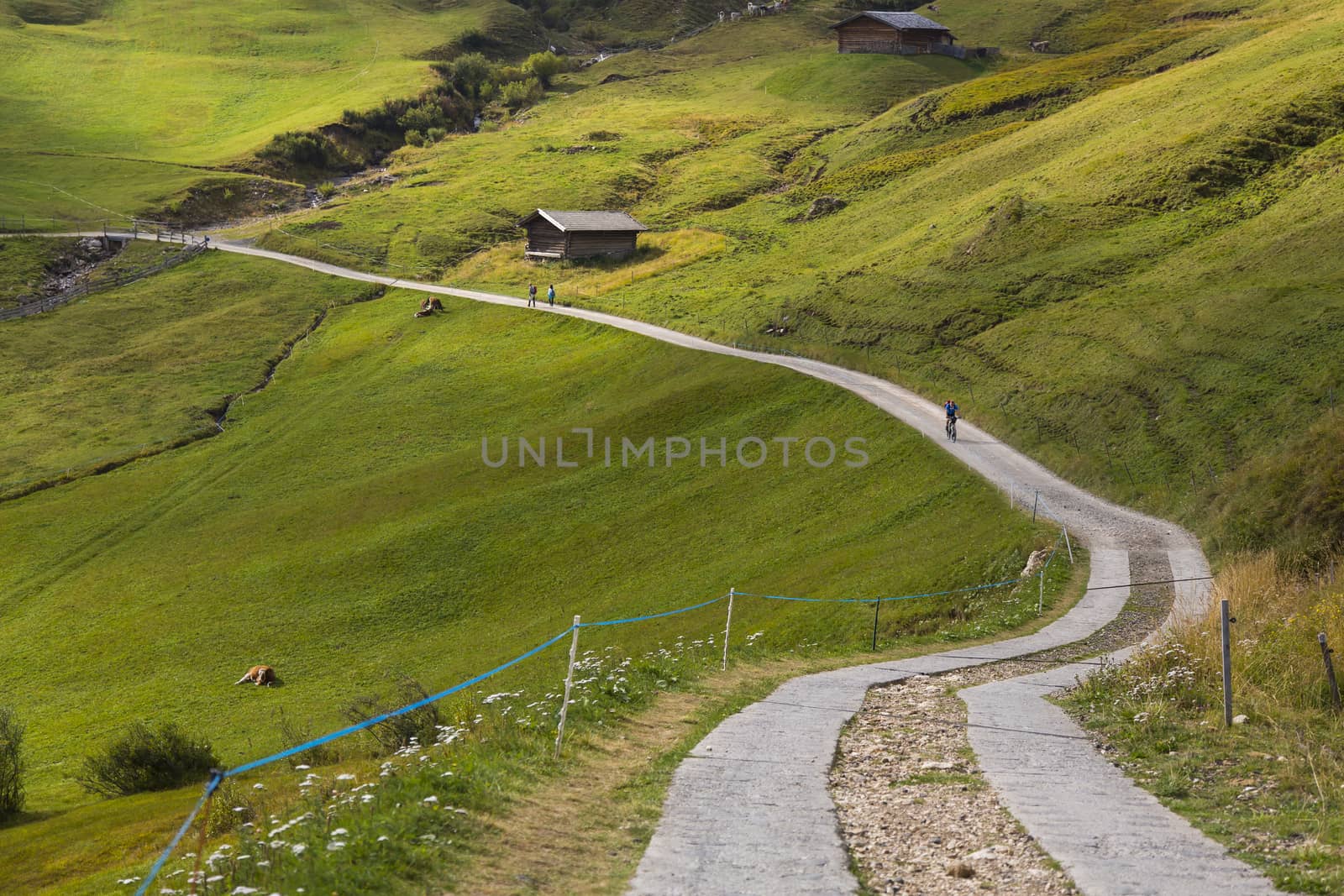 View of a hiking trail on Seiser Alm