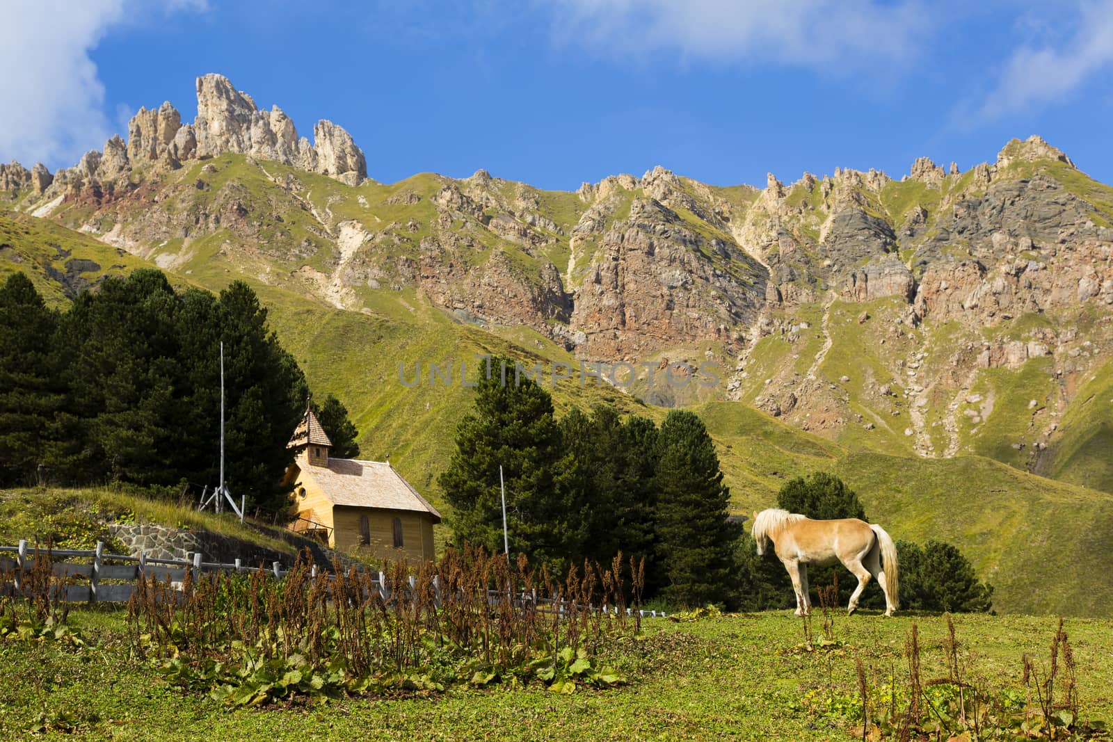 Mountain landscape wiyh horse in the foreground with church and mountains in the background in a sunny  day