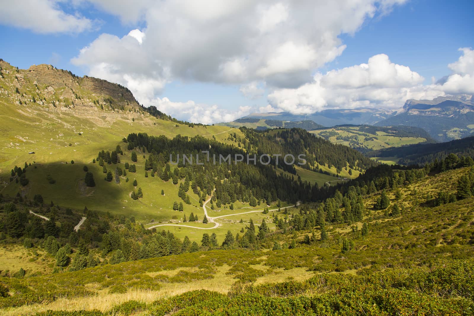 Green valley by nicobernieri