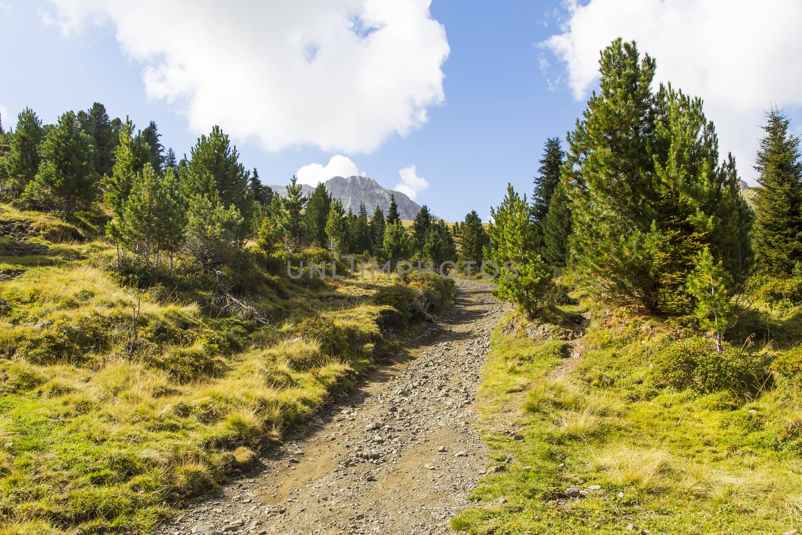 View of a hiking trail on Seiser Alm with mountain range on the background