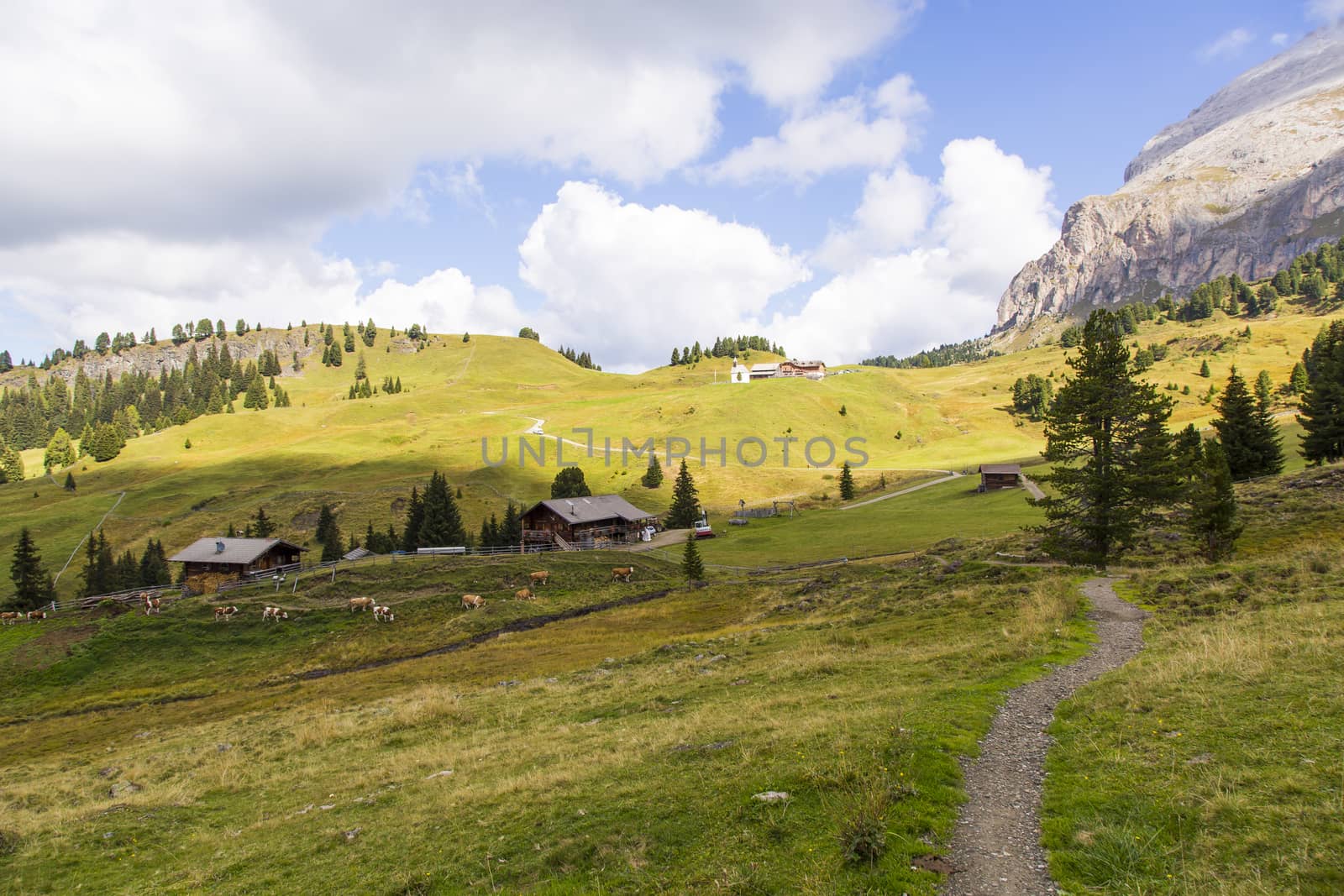 Mountain landscape with path, huts and grazing cows on a sunny day