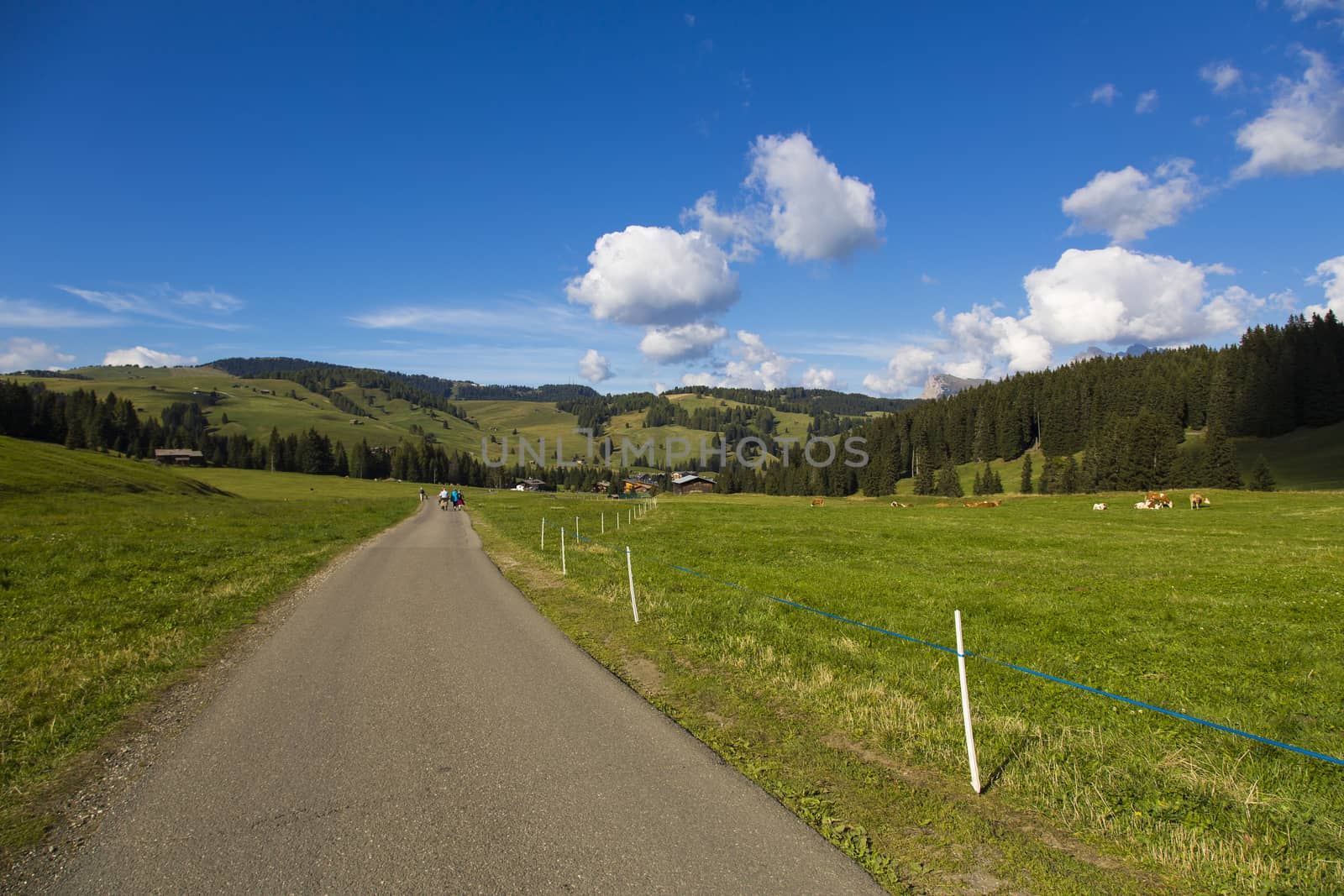 Hiking trail between green fields blue sky with clouds