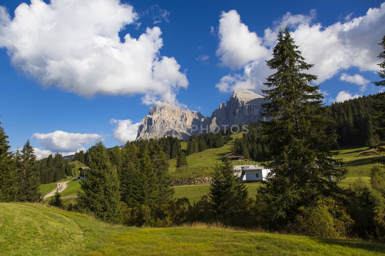 mountain landscape with trees, blue sky, clouds and mountain range on the background