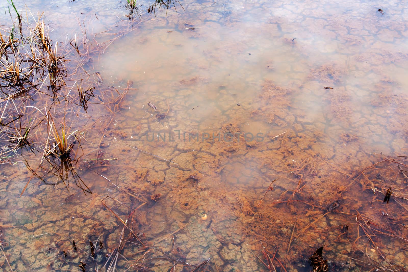 The soil dried had under the flooded. Under water of Drought still see traces.