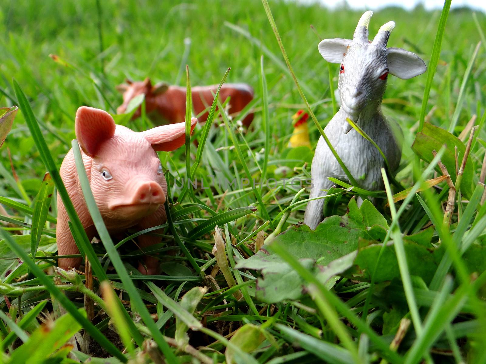Miniature toy of farm animals in the grass