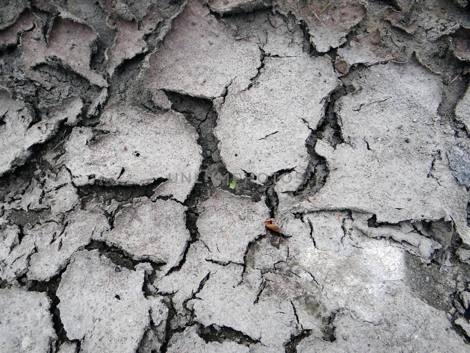 photo of Texture of dry dark ground
