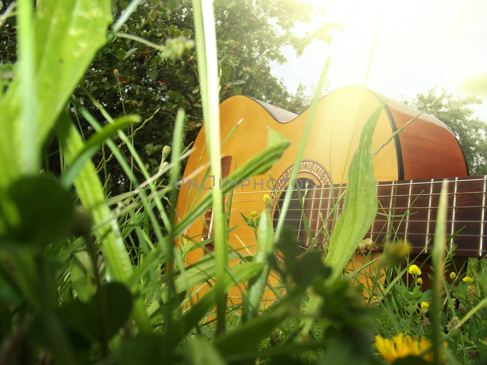 Photo of guitar on the green grass