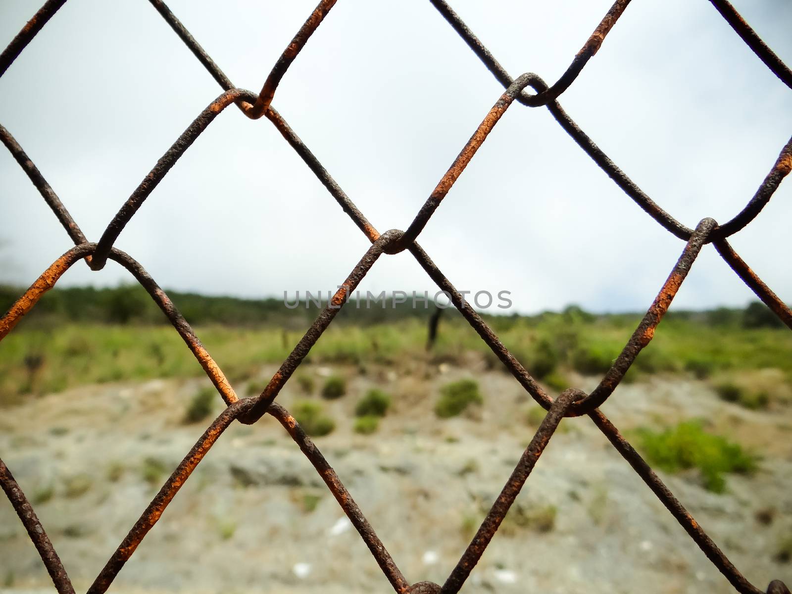 Old iron wire fence by natali_brill