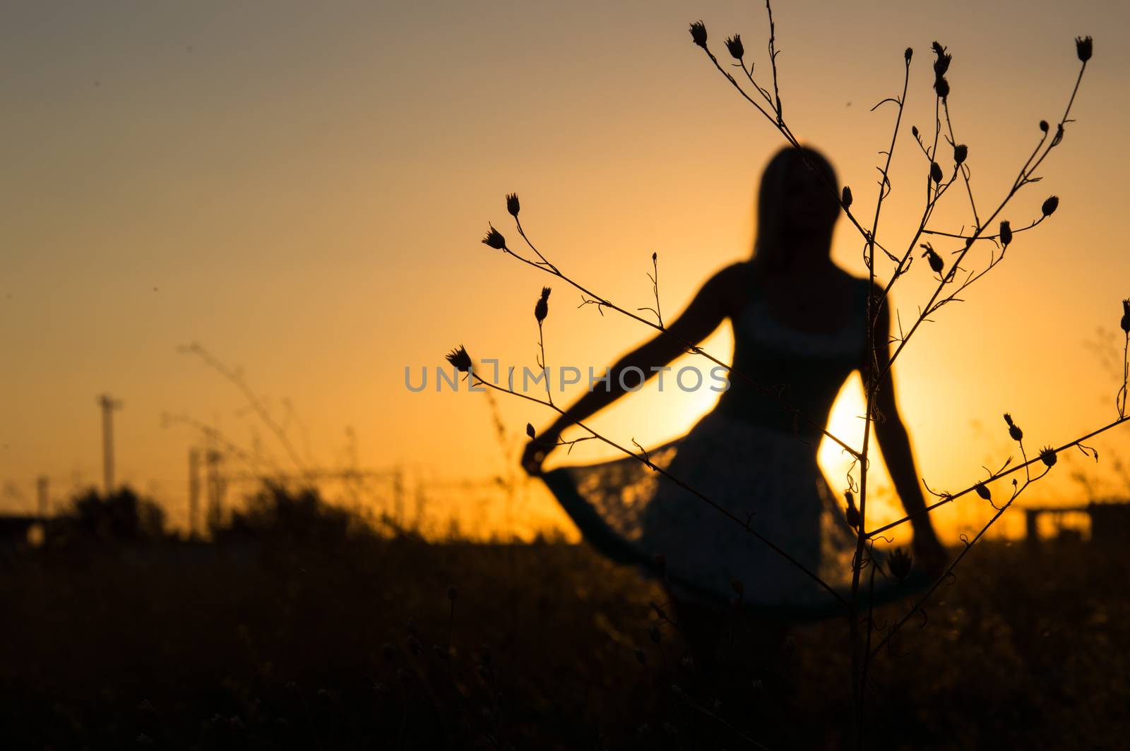Blurred Silhouette of the beautiful girl in the nature at summer sunset