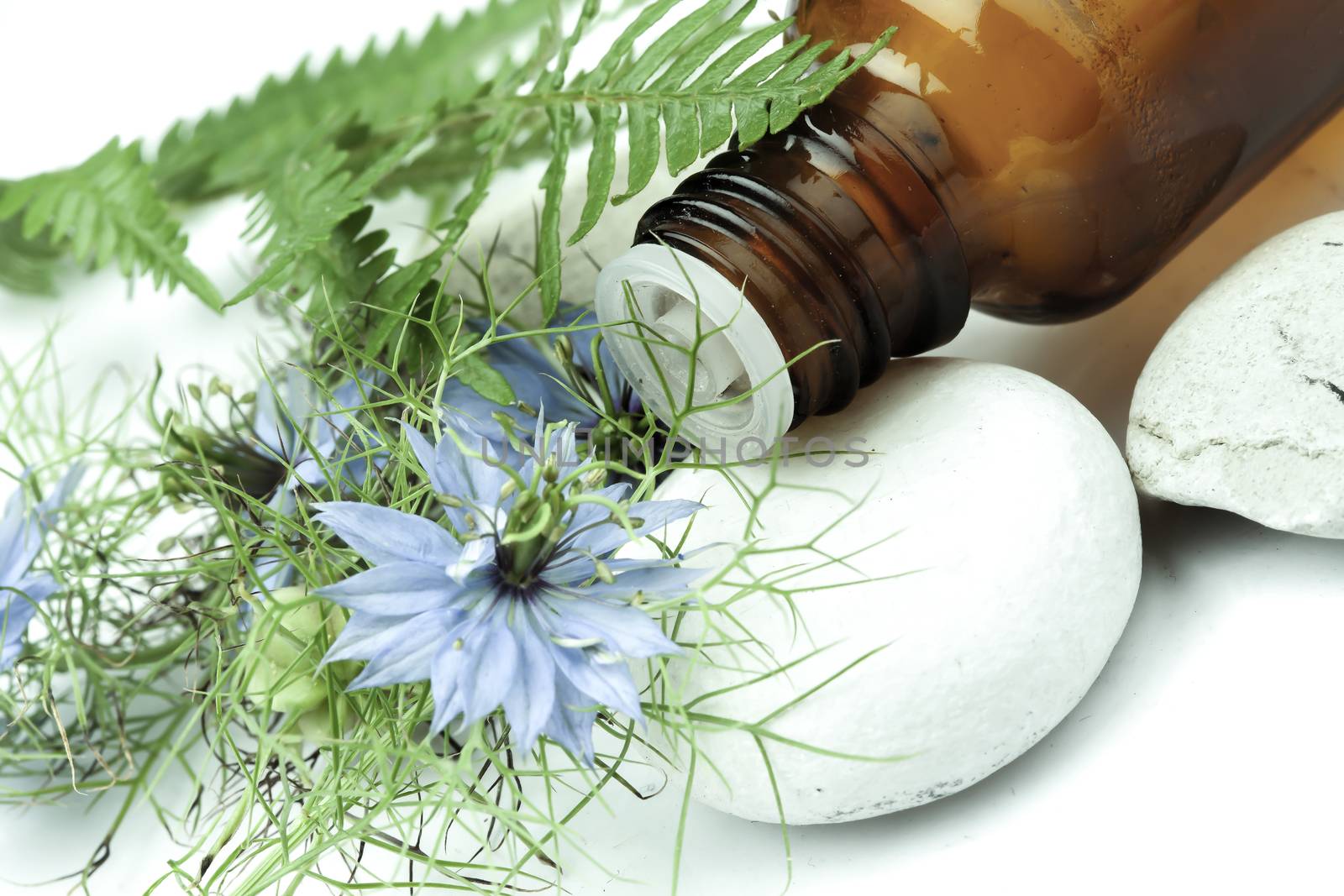 herbal medicne and flower