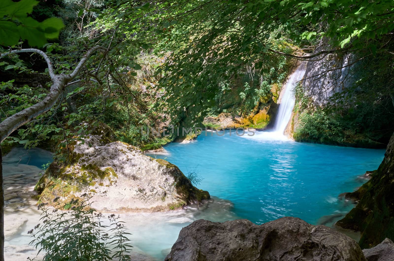 Urederra River (Navarra, Spain) takes an amazing blue color near its spring.