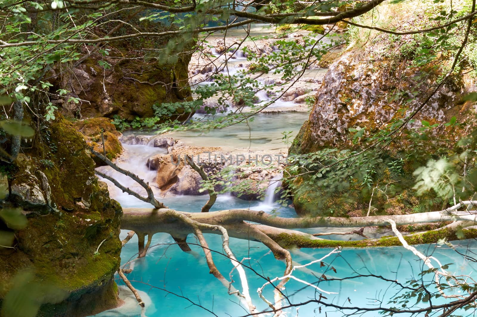 Urederra River (Navarra, Spain) takes an amazing blue color near its spring.
