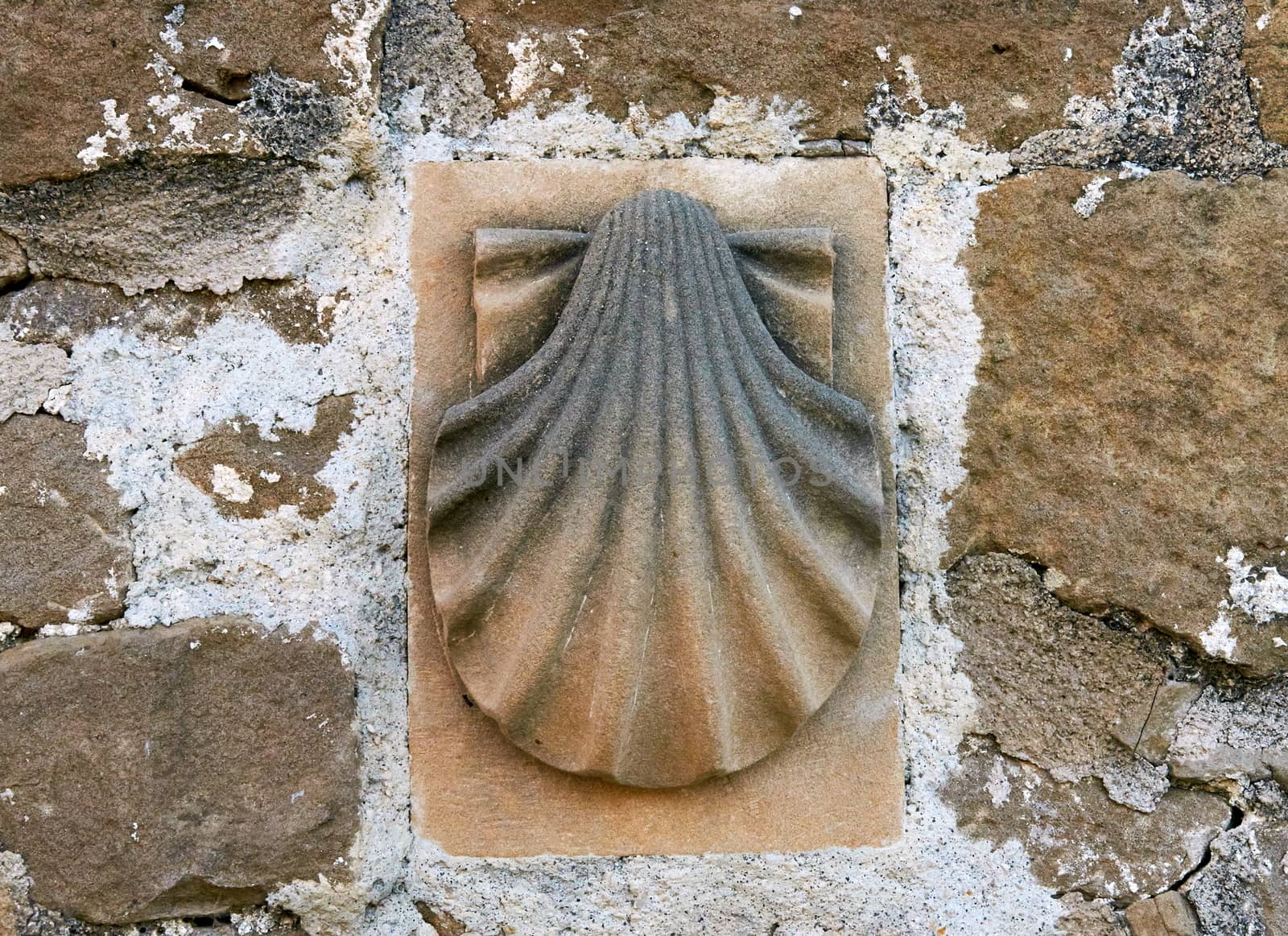 A scallop shell is the most iconic simbol of the road to Santiago