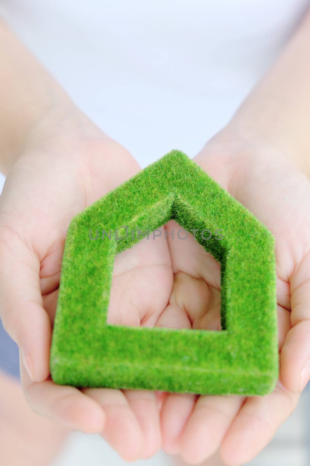 hand holding green house icon concept