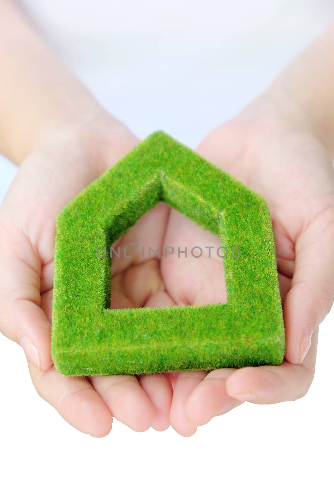 hand holding green house icon concept