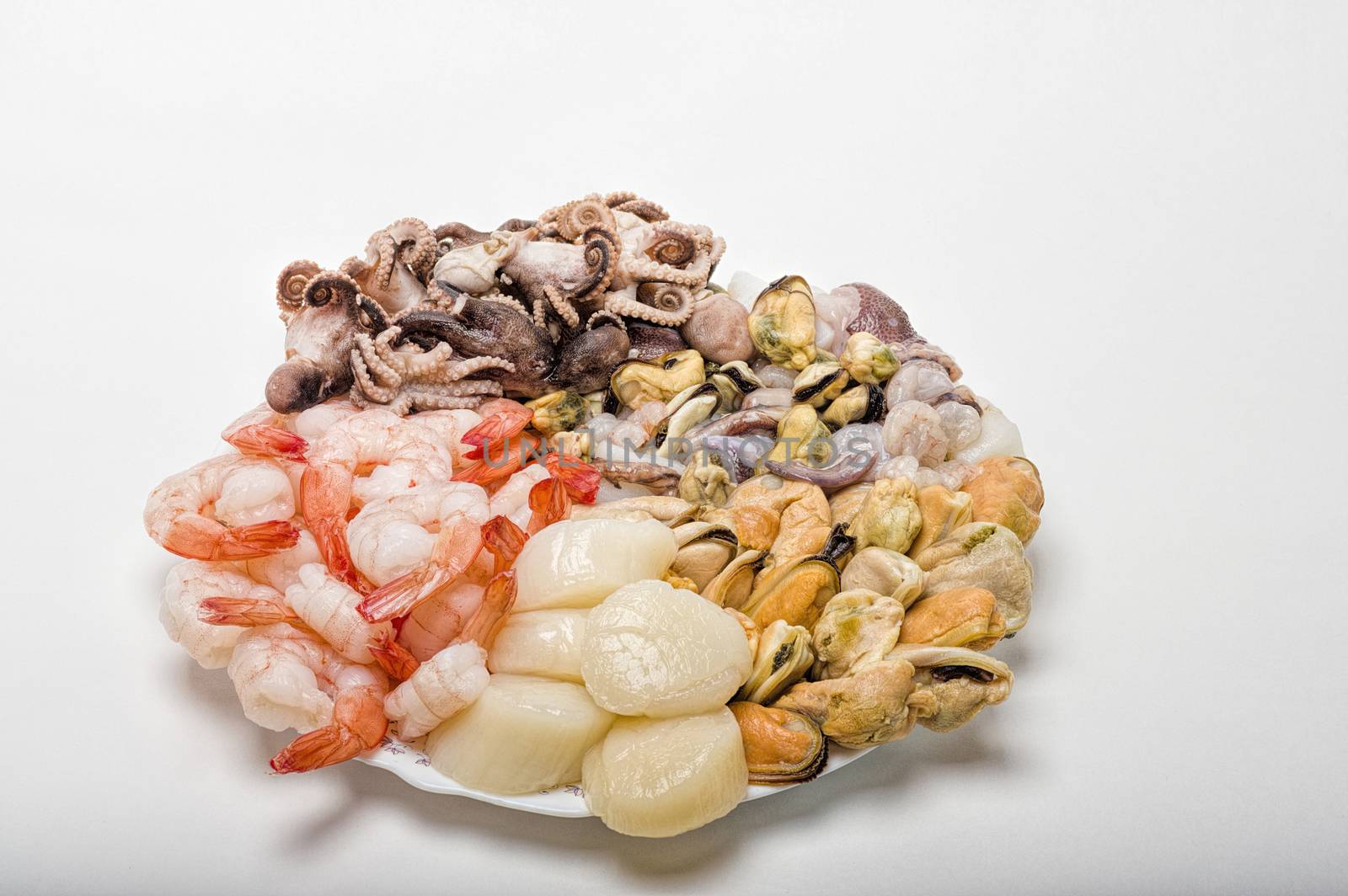 great variety of fresh seafood lying on a plate