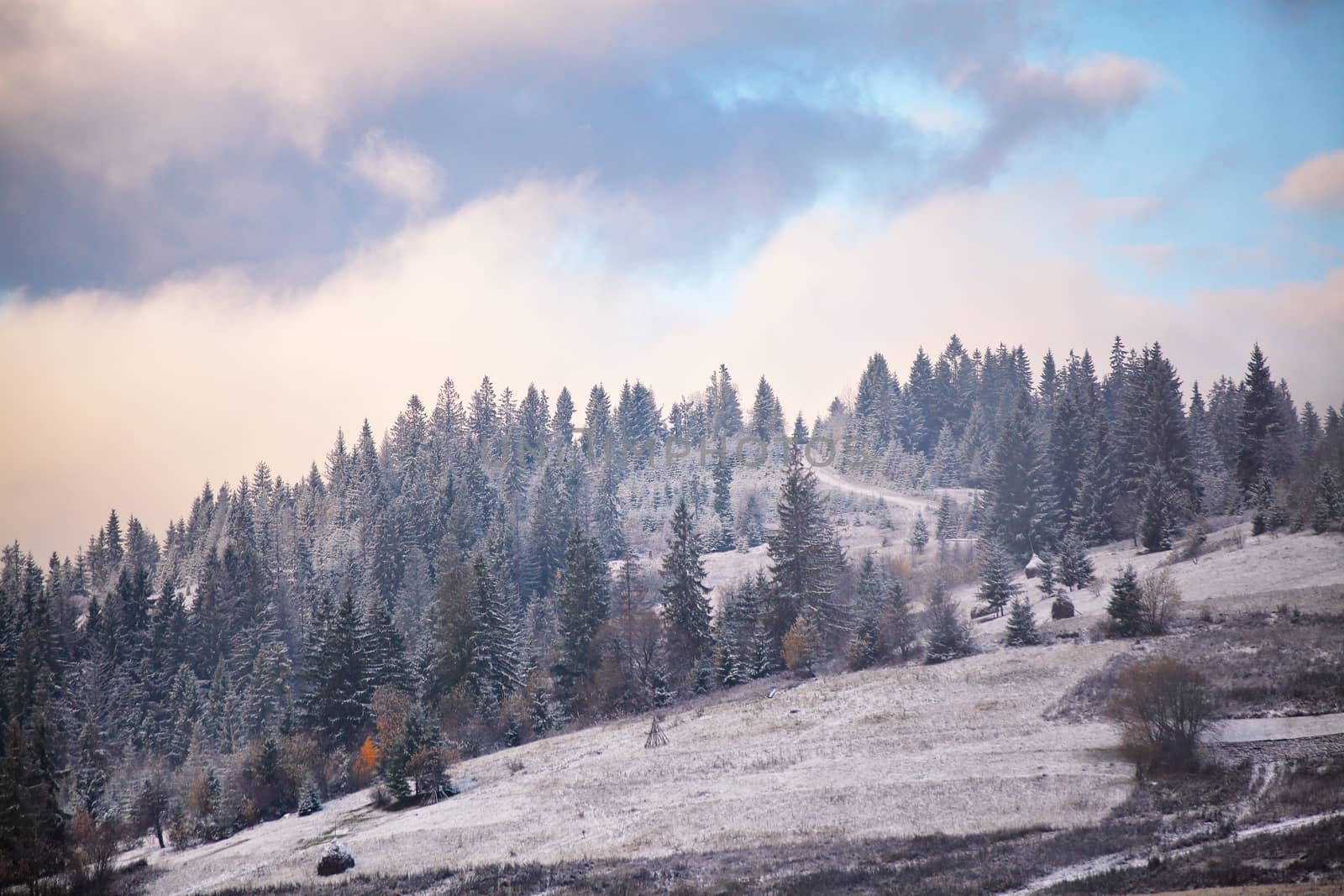 First snow in autumn. Snowfall in mountains by weise_maxim