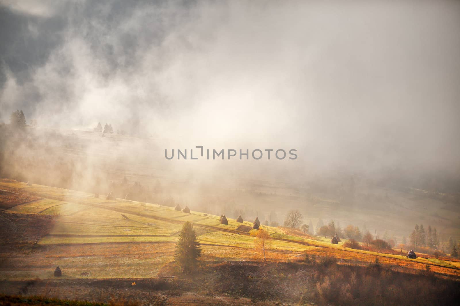 November foggy morning in the hills by weise_maxim