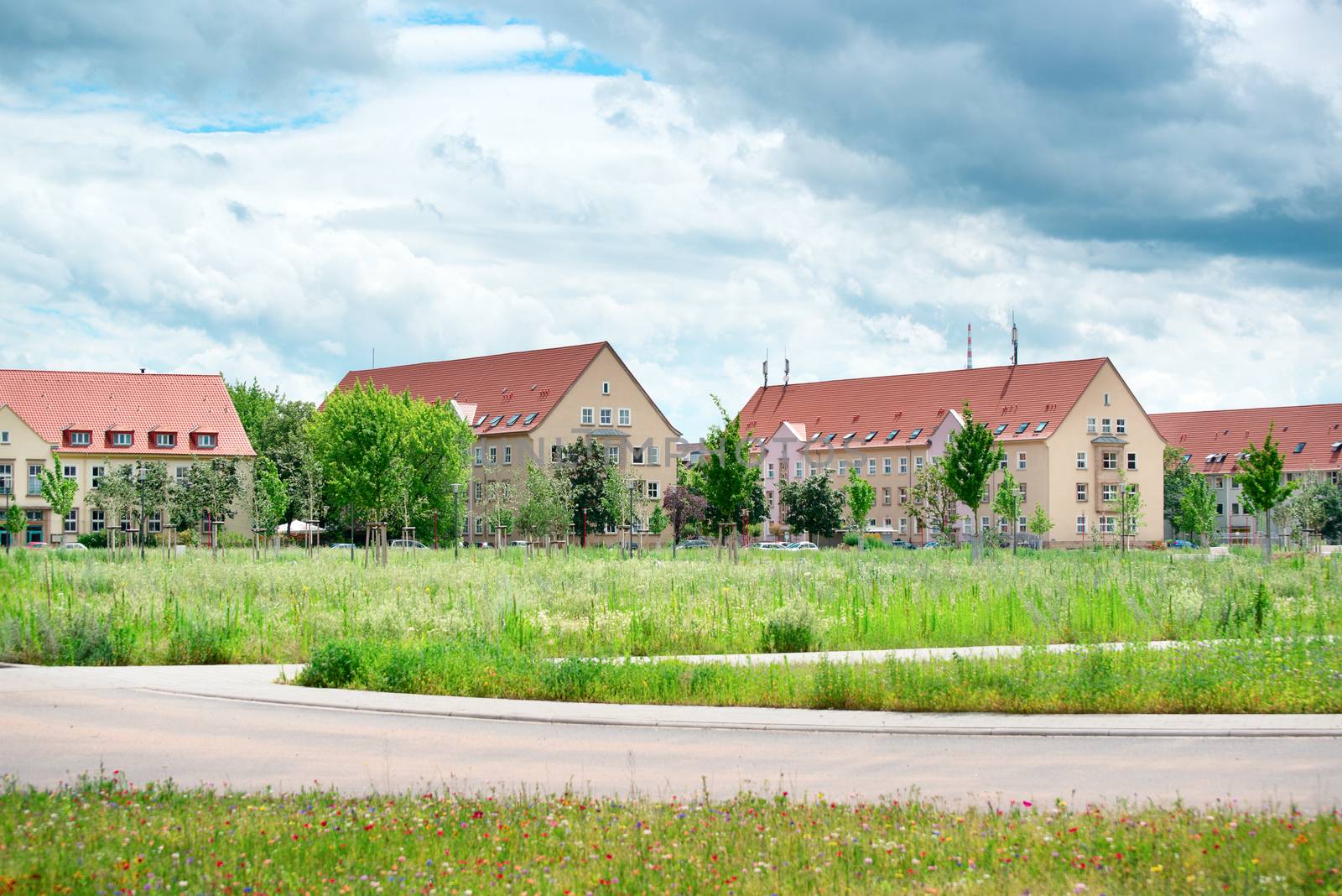 Country landscape with residential buildings