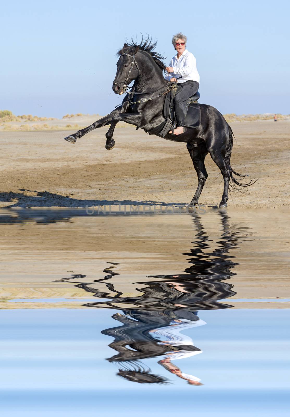 horsewoman and her horse on the beach