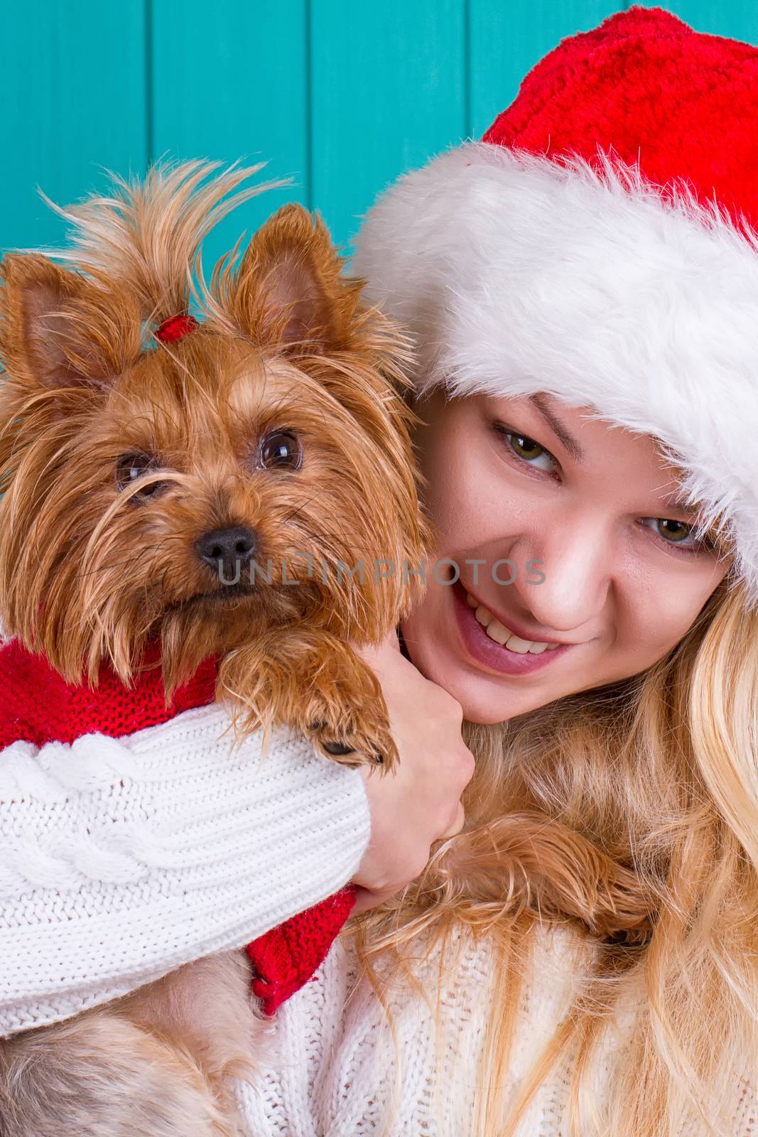 Beautiful girl in santa cap with yorkie dog in red sweater