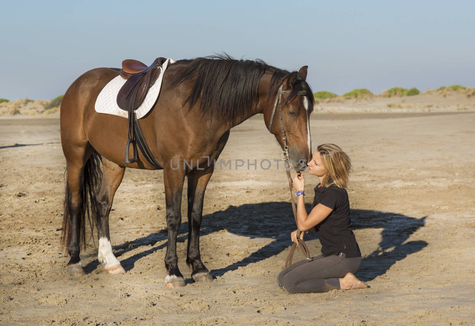 horsewoman and her horse on the beach