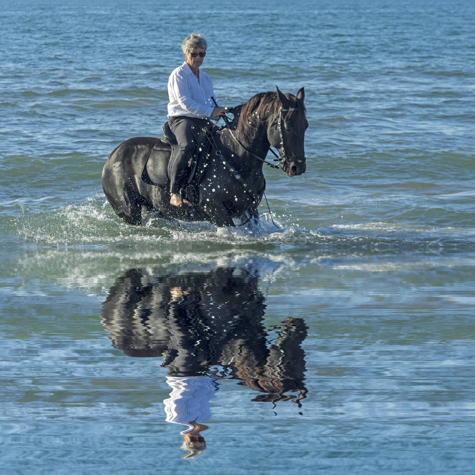 woman horse in the sea by cynoclub