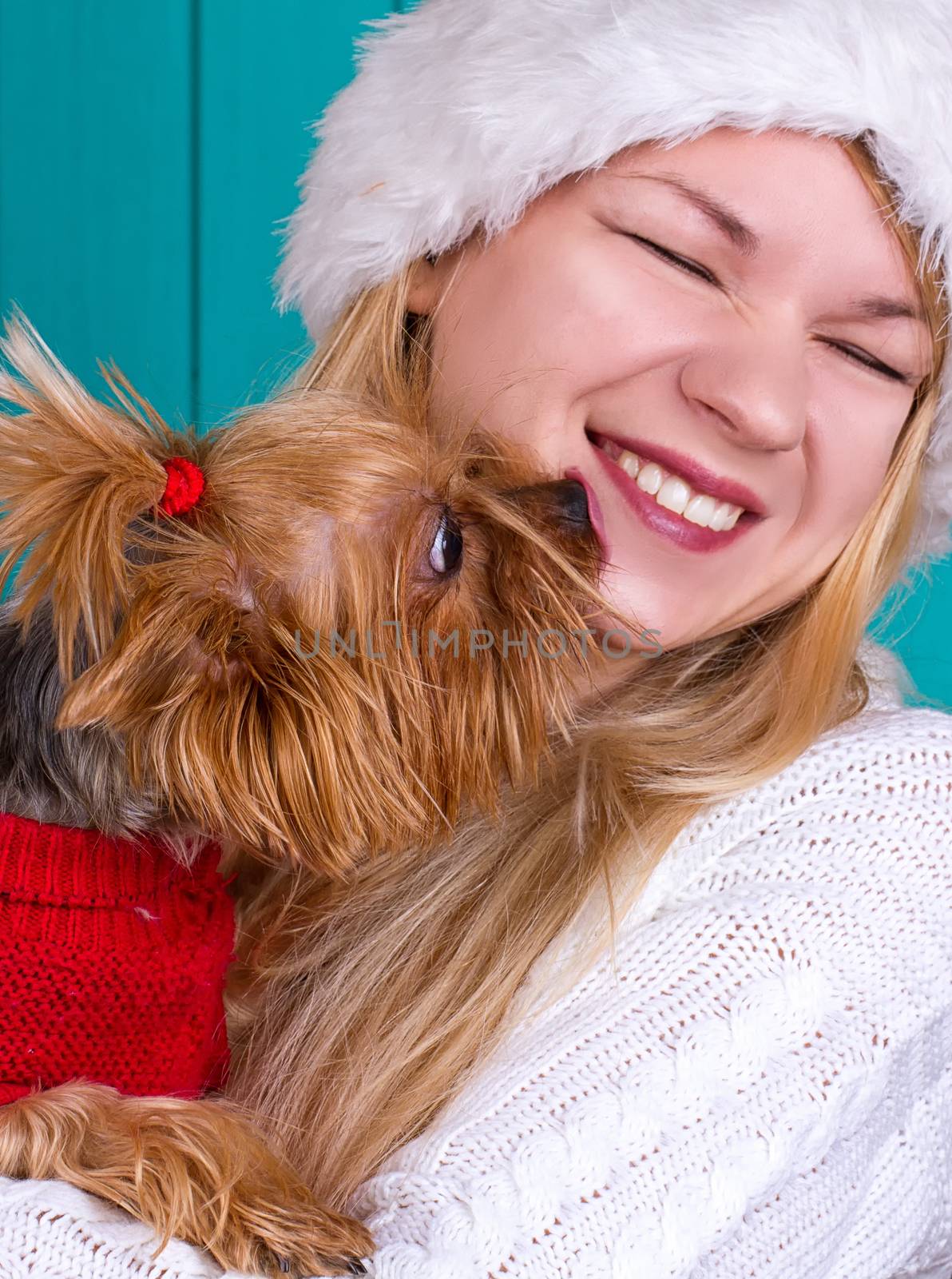 Beautiful girl in santa cap with yorkie dog in red sweater