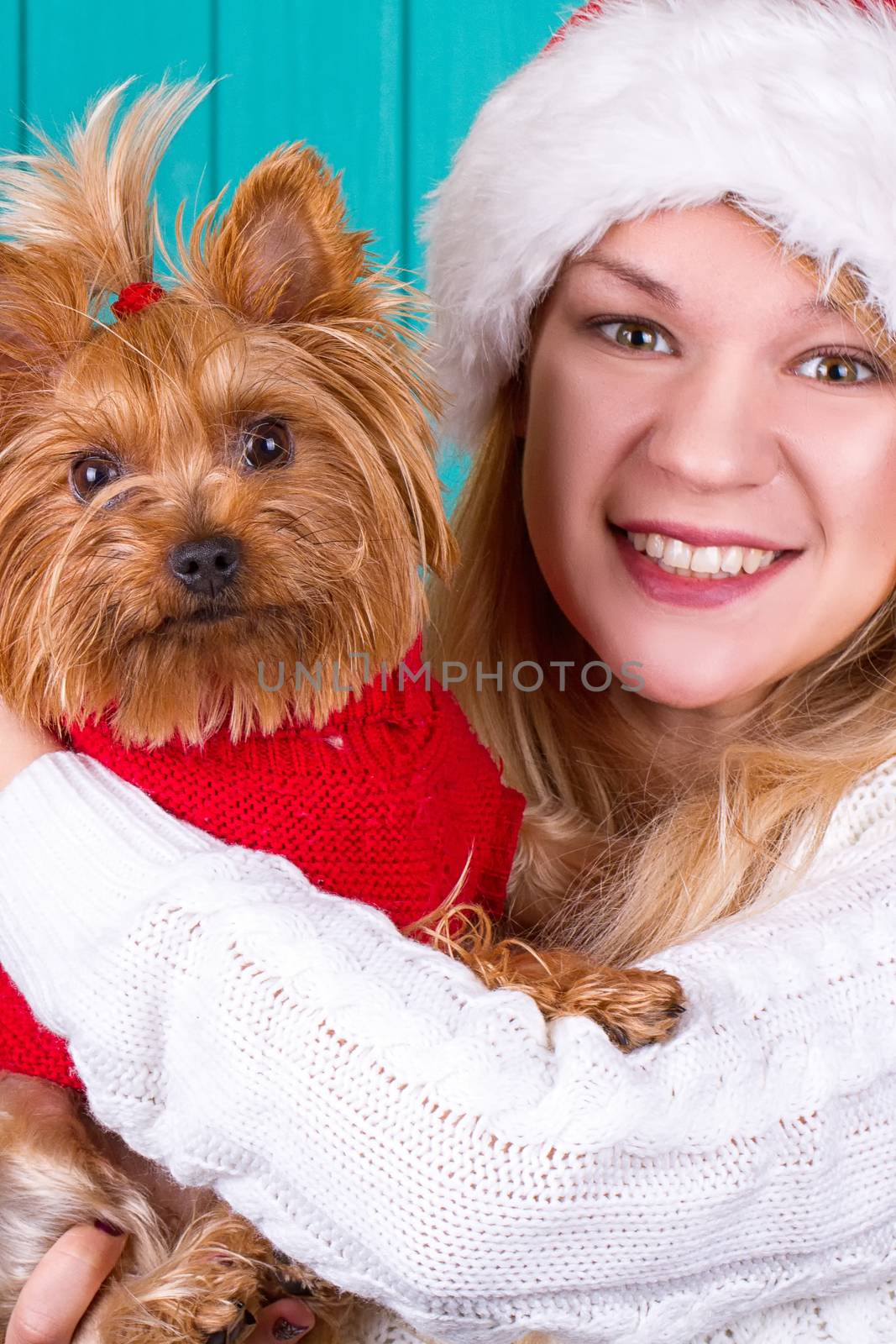 Beautiful girl in santa cap with yorkie dog in red sweater