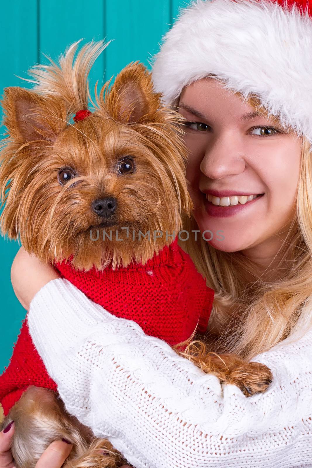 Beautiful girl in santa cap with yorkie dog in red sweater