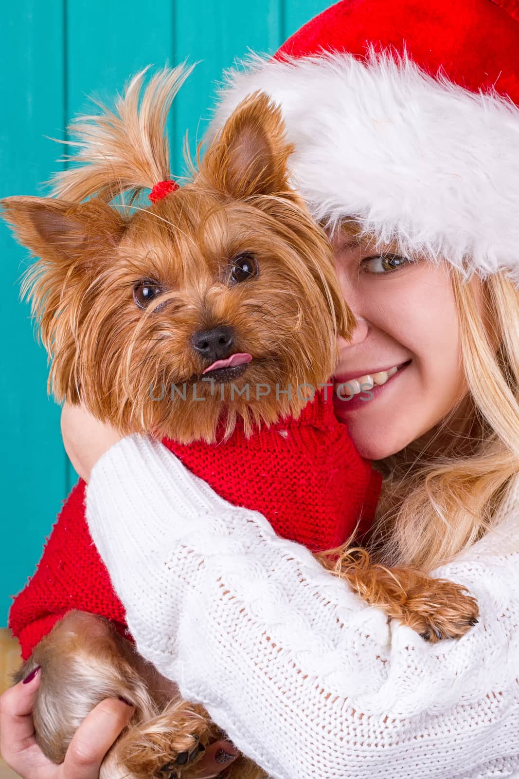 Beautiful girl in santa cap with yorkie dog in red sweater